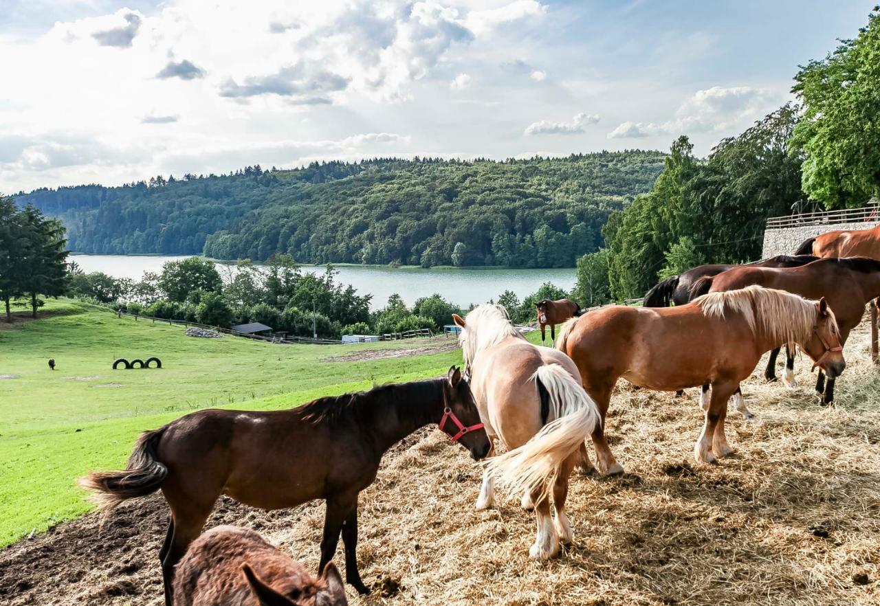 Lesniczowka Wiezyca I Domki Szymbark  Exteriör bild